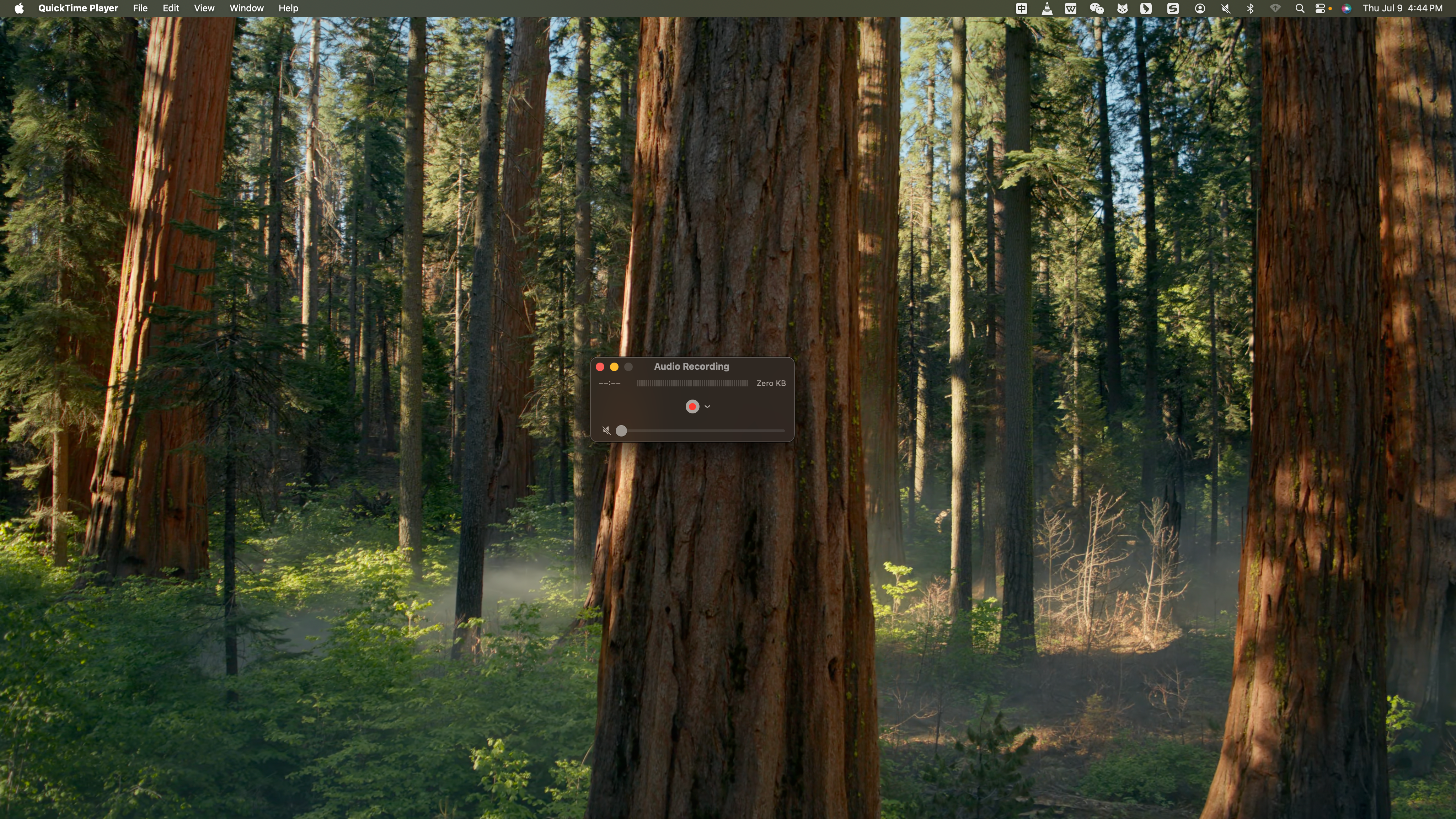 QuickTime recording interface — zero format options anywhere