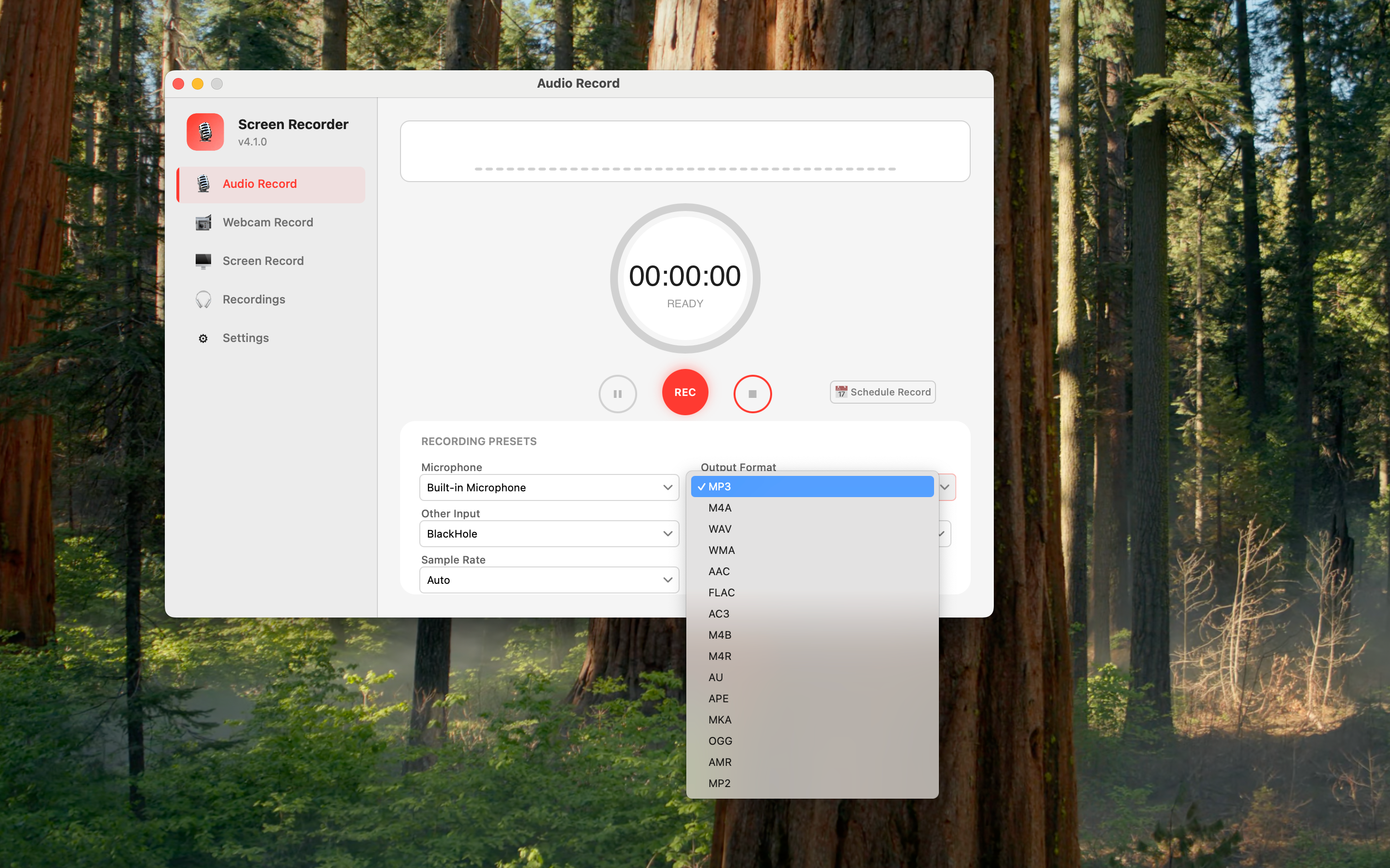 Export format options — 15+ presets
