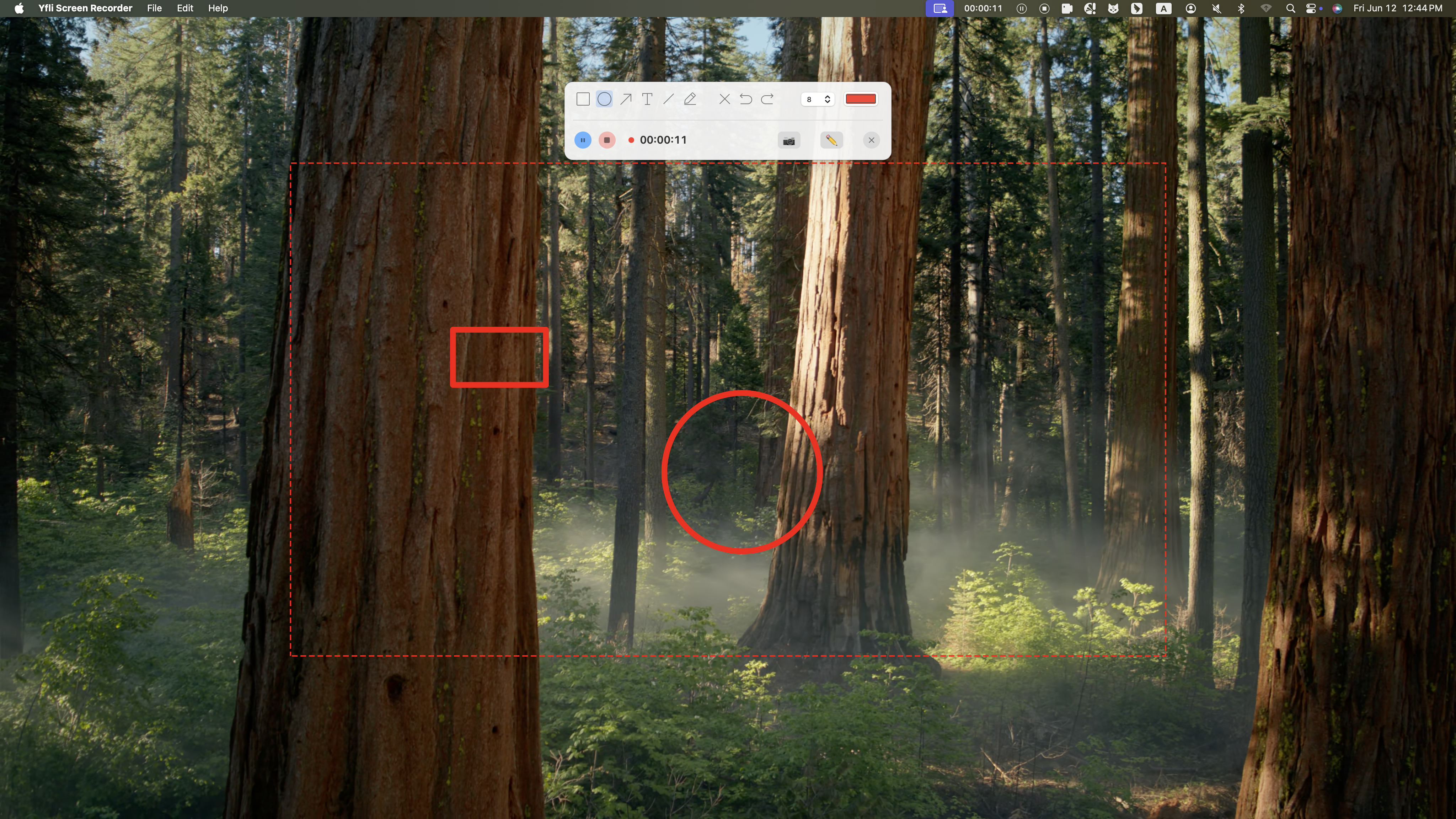 Recordings library — card view with playback controls